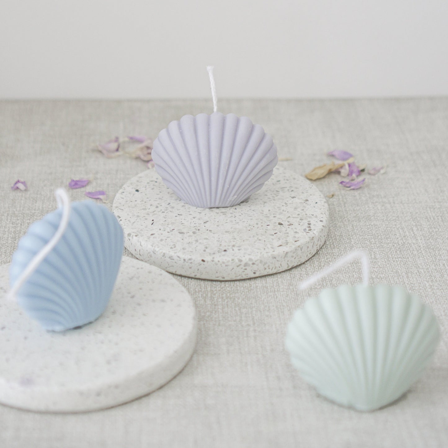 Shell Candle
